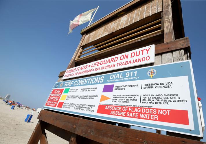 Jellyfish stings are on the rise on Galveston beaches, officials say