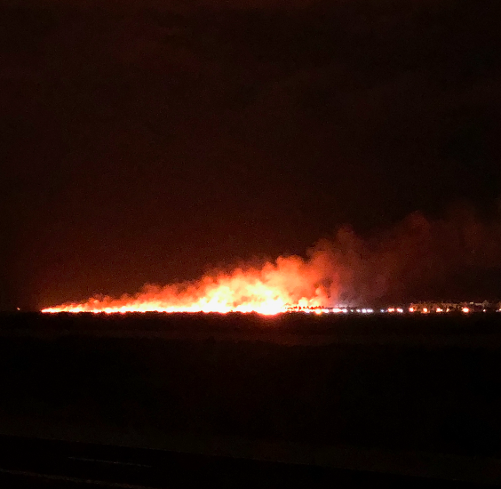 Galveston Fire Department fights large brush fire | Police News | The ...