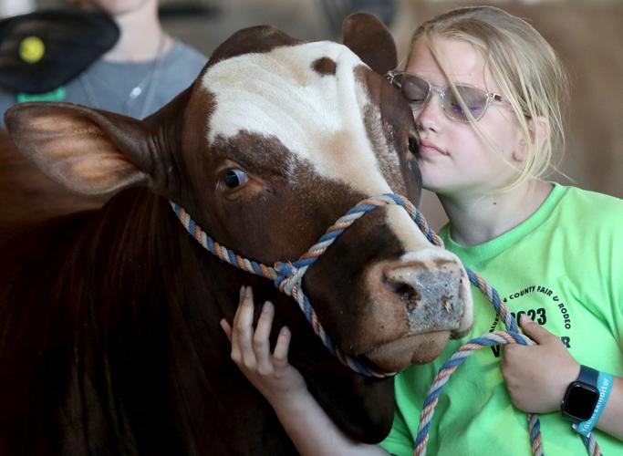 Galveston County Fair & Rodeo continues Local News The Daily News