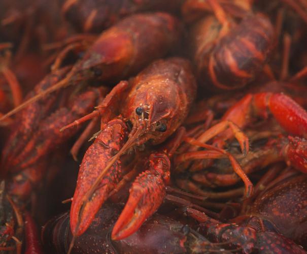 Crawfish Boil, South Georgia Style - Georgia Outdoor News