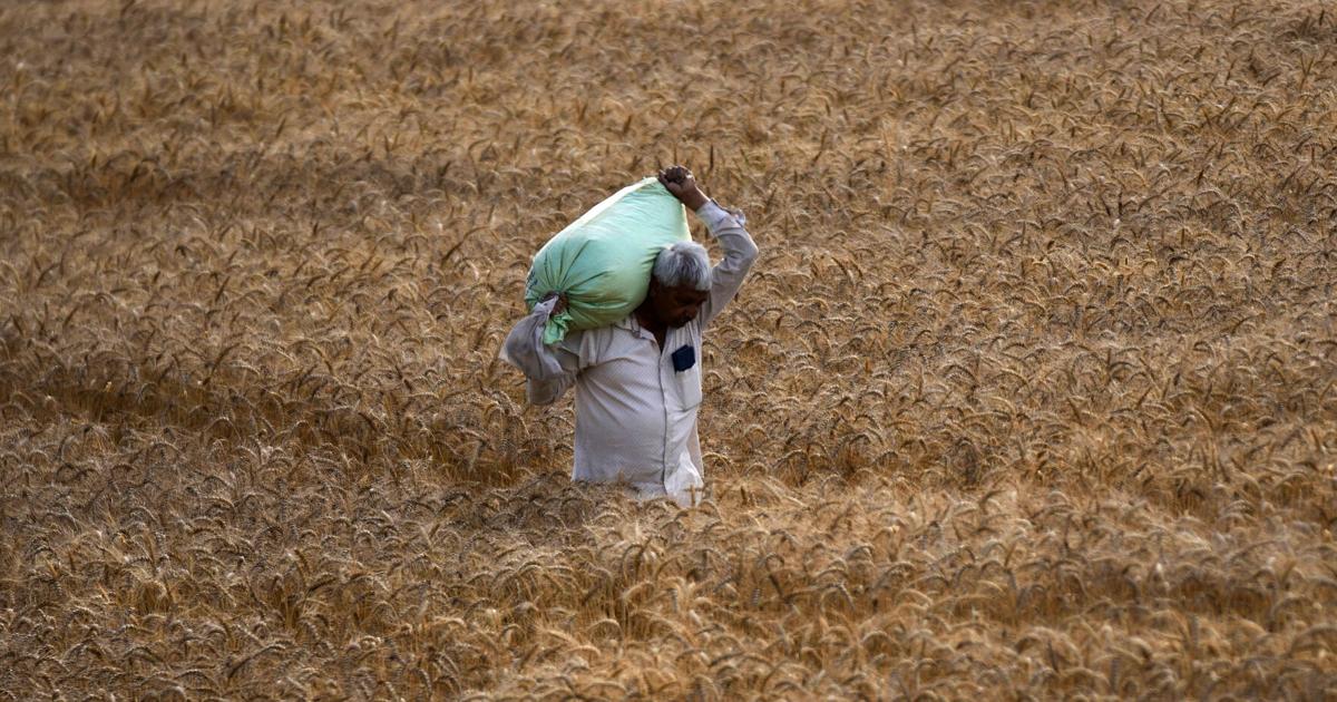 भारत कृषि