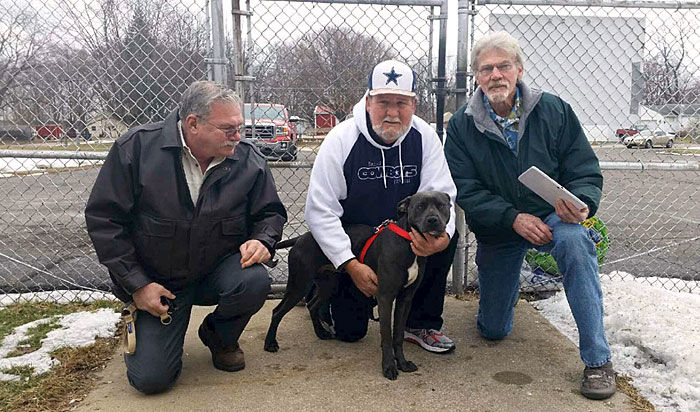 Wayward Galveston pit bull Blue homeward bound | Local News | The Daily ...