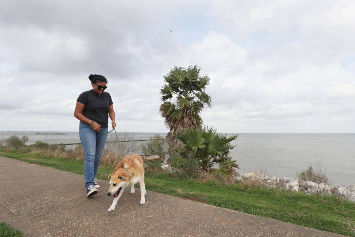 Profiles Bacliff and San Leon