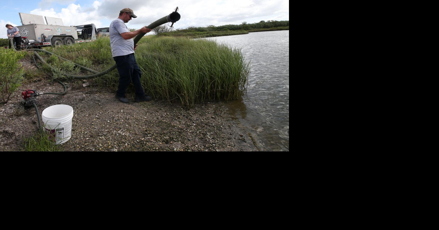 La Marque Parks Board releases 200,000 fish in Highland Bayou Local