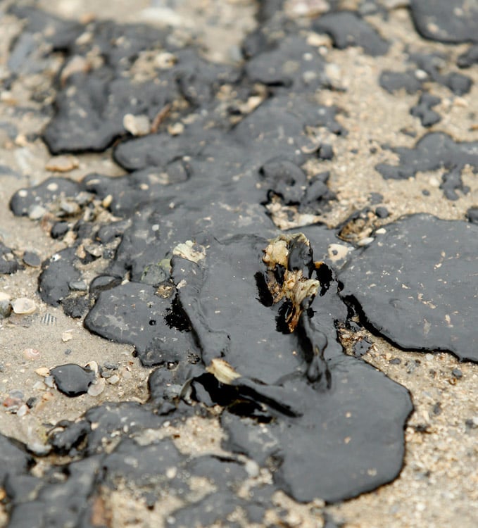 Photo Gallery: Galveston Bay Oil Spill | In Focus | The Daily News