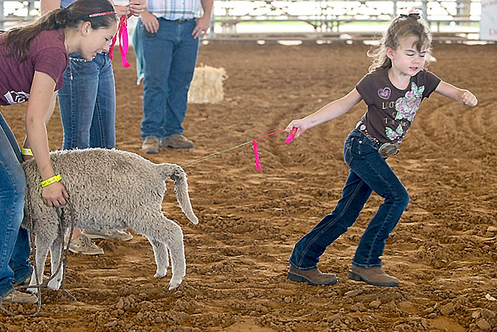 Pee Wee Rodeo brings out the best in its pint-sized participants ...