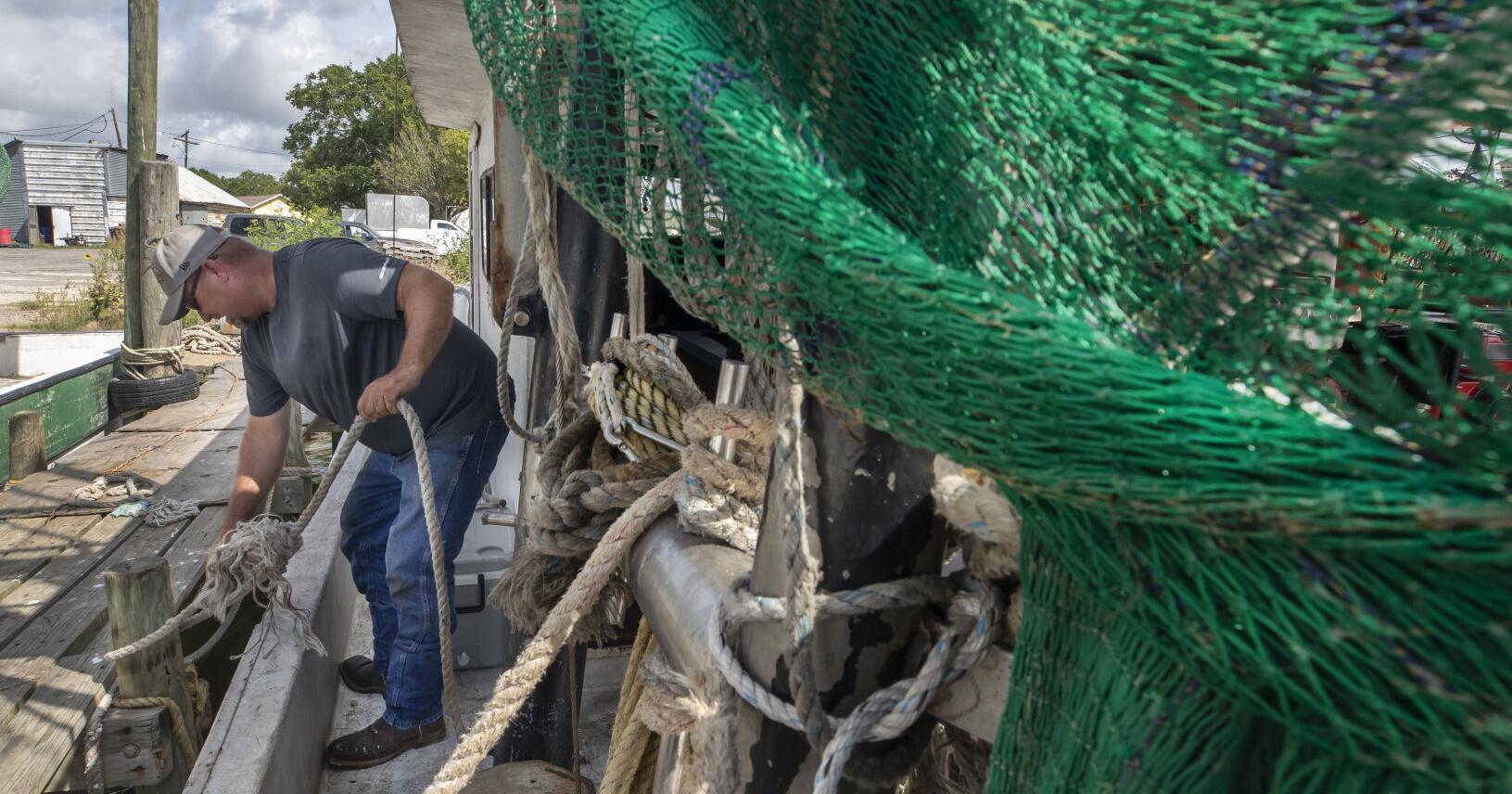 Harried shrimpers pessimistic as Gulf season opens - Vimarsana News