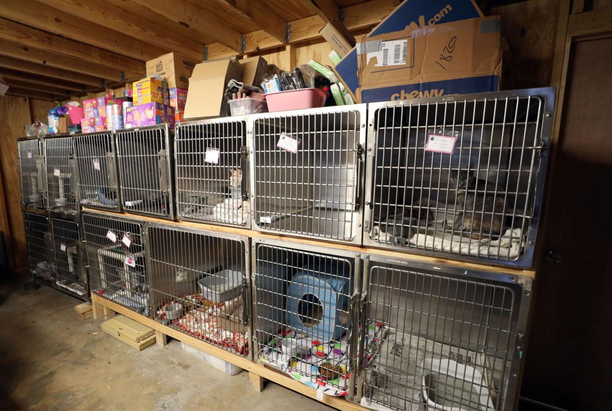 Foundation awards Dickinson animal shelter 500,000 Local News The
