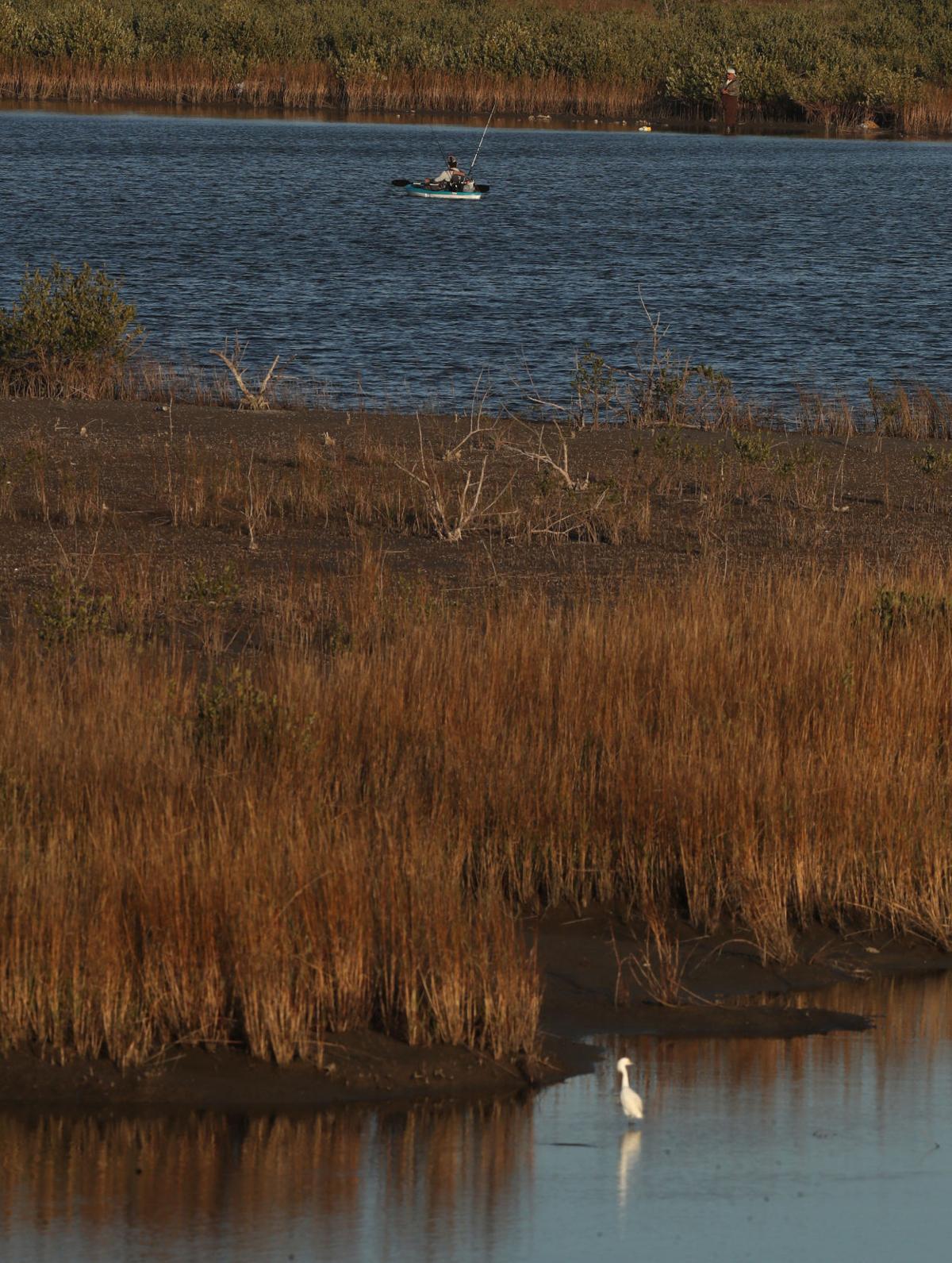 Galveston Sees Boon In Covid Call Of The Wild Local News The Daily News
