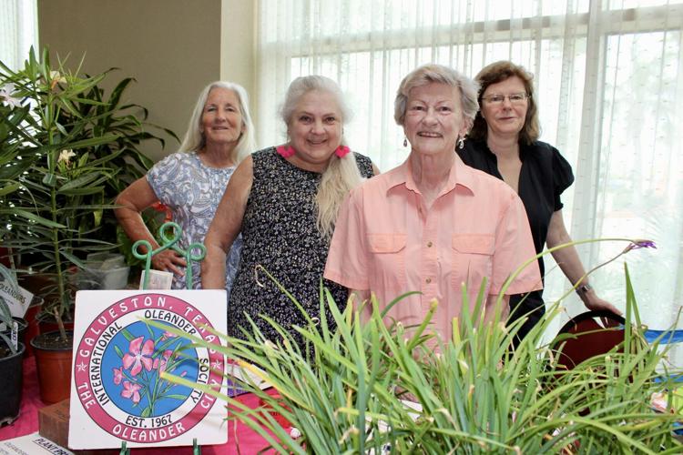 Seaside Scenes 'Grape State of Texas' was theme of Gulf Coast Herb