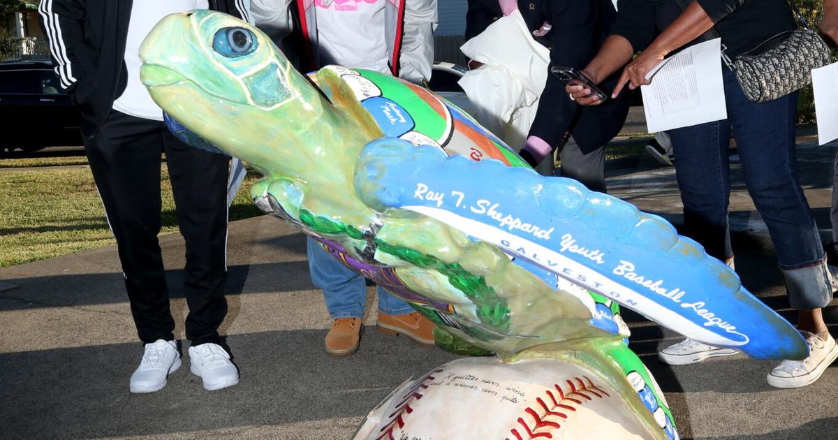 Turtle Shell Guard Baseball Sea turtle sculpture honors youth baseball league | Local News | The ...