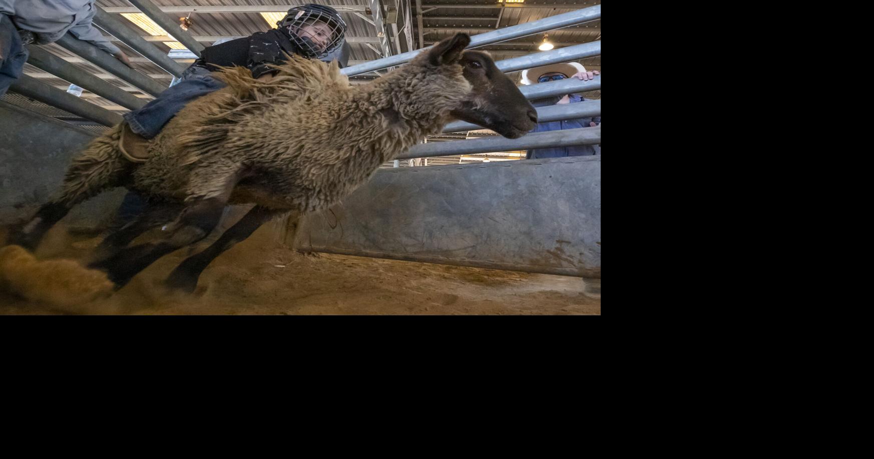 County kicks off first Saturday of Fair & Rodeo | Local News | The ...