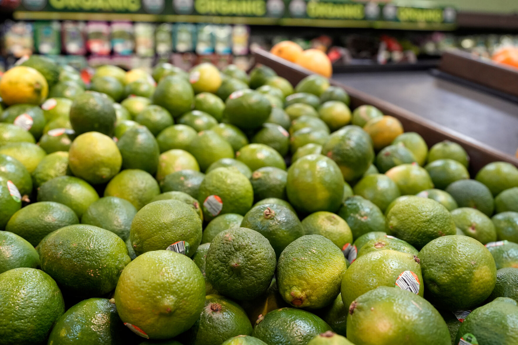 Iran Food Prices | | The Daily News