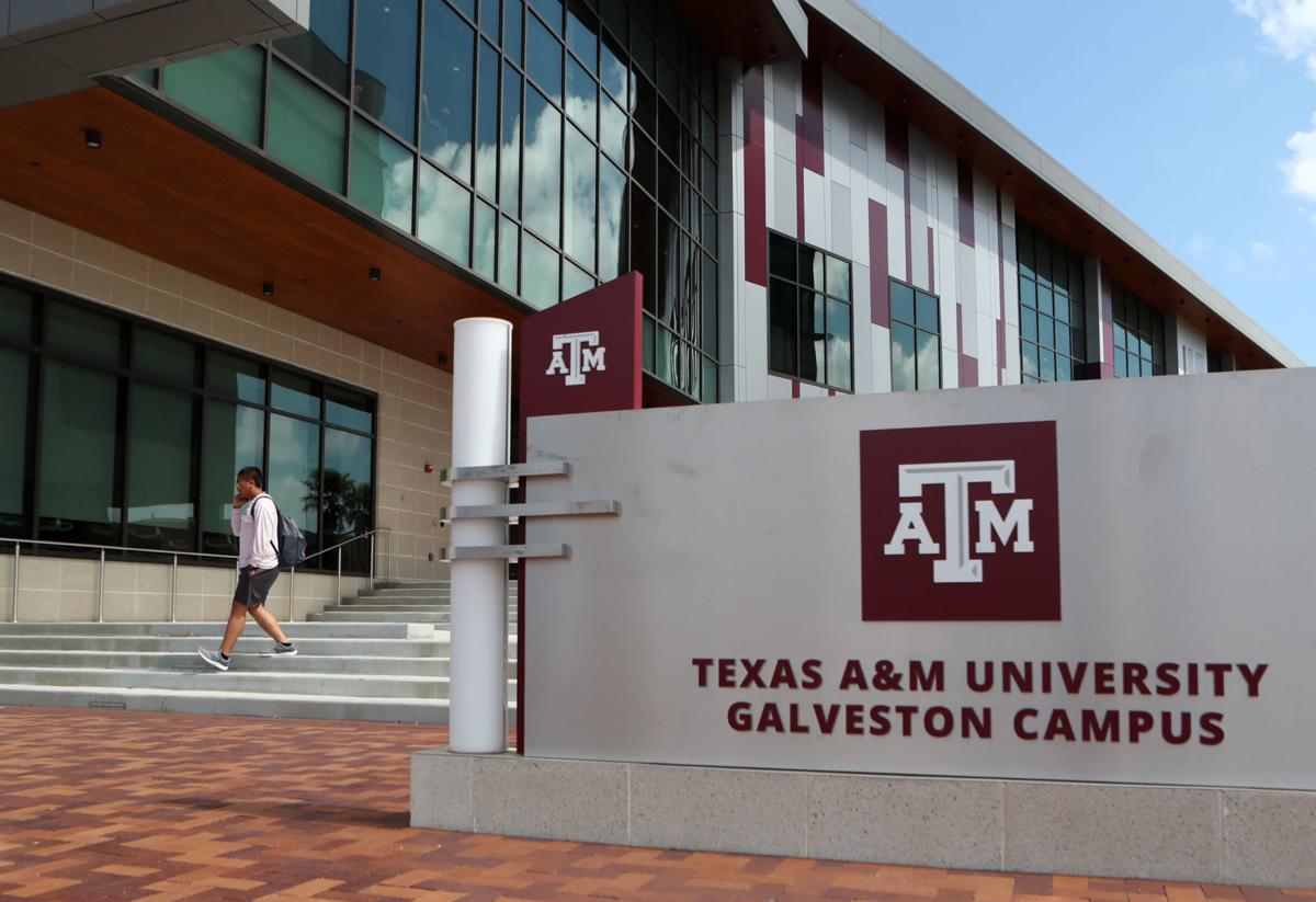 After years of growth, A&M Galveston enrollment dips | Local News | The