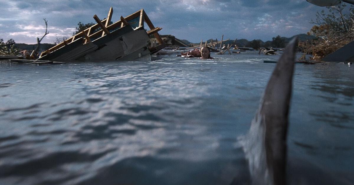 Netflix's 'Thrash' is junk-food entertaining to roast, mock and enjoy