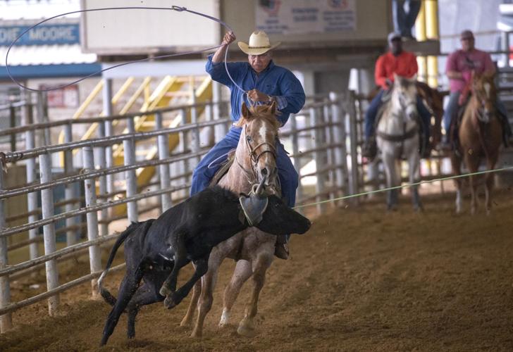 Galveston County Fair & Rodeo Local News The Daily News