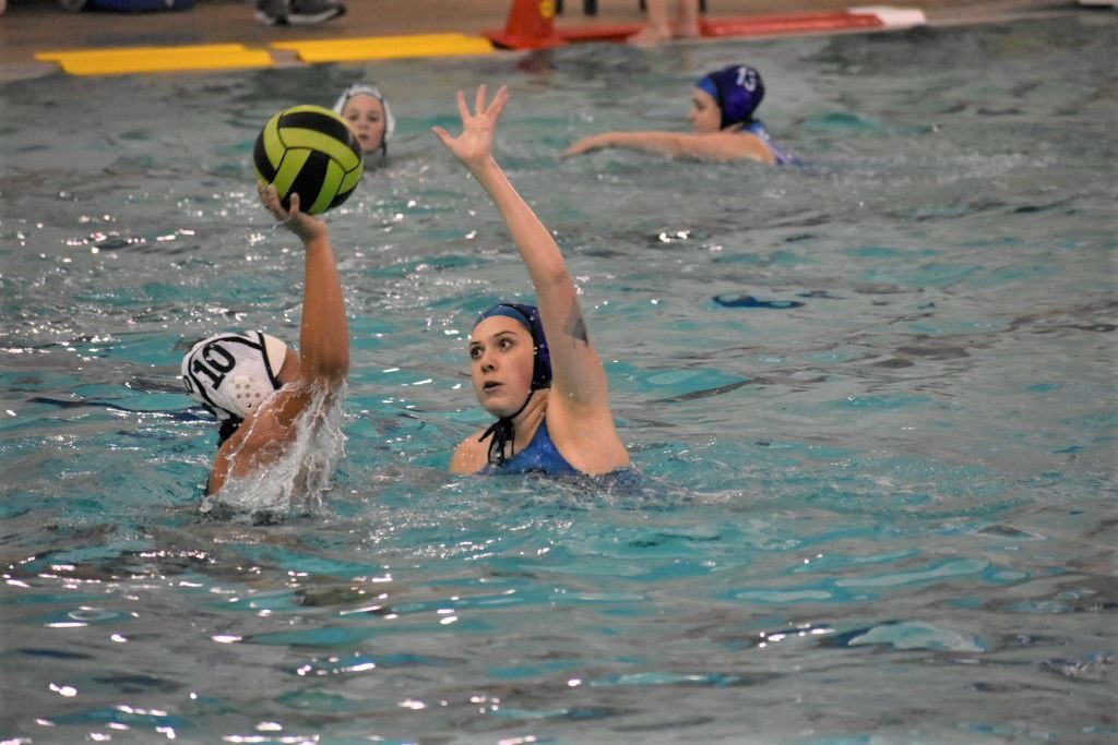 Pounding post office medley Friendswood girls, boys water polo teams open season strong | Local Sports  | The Daily News
