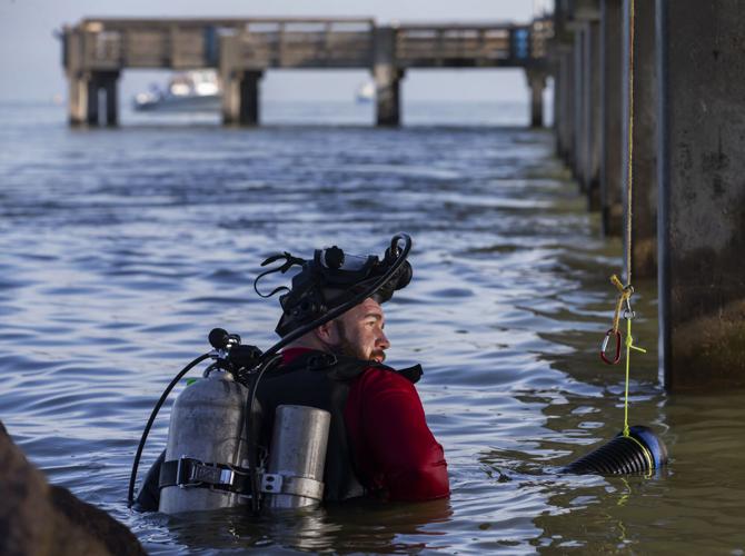 Volunteers clean up Seawolf Park to help save marine wildlife | Local