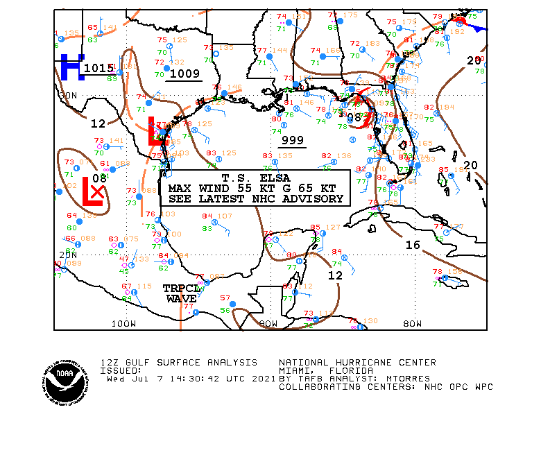 Galveston County Flood Map