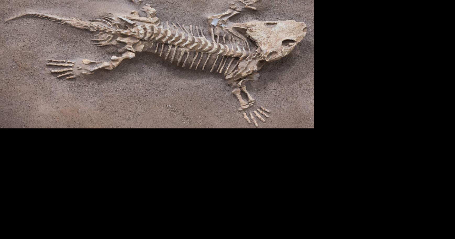Dinosaur George at Wright Cuney