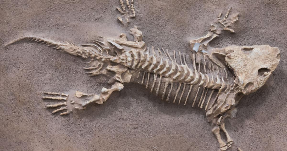 Dinosaur George at Wright Cuney