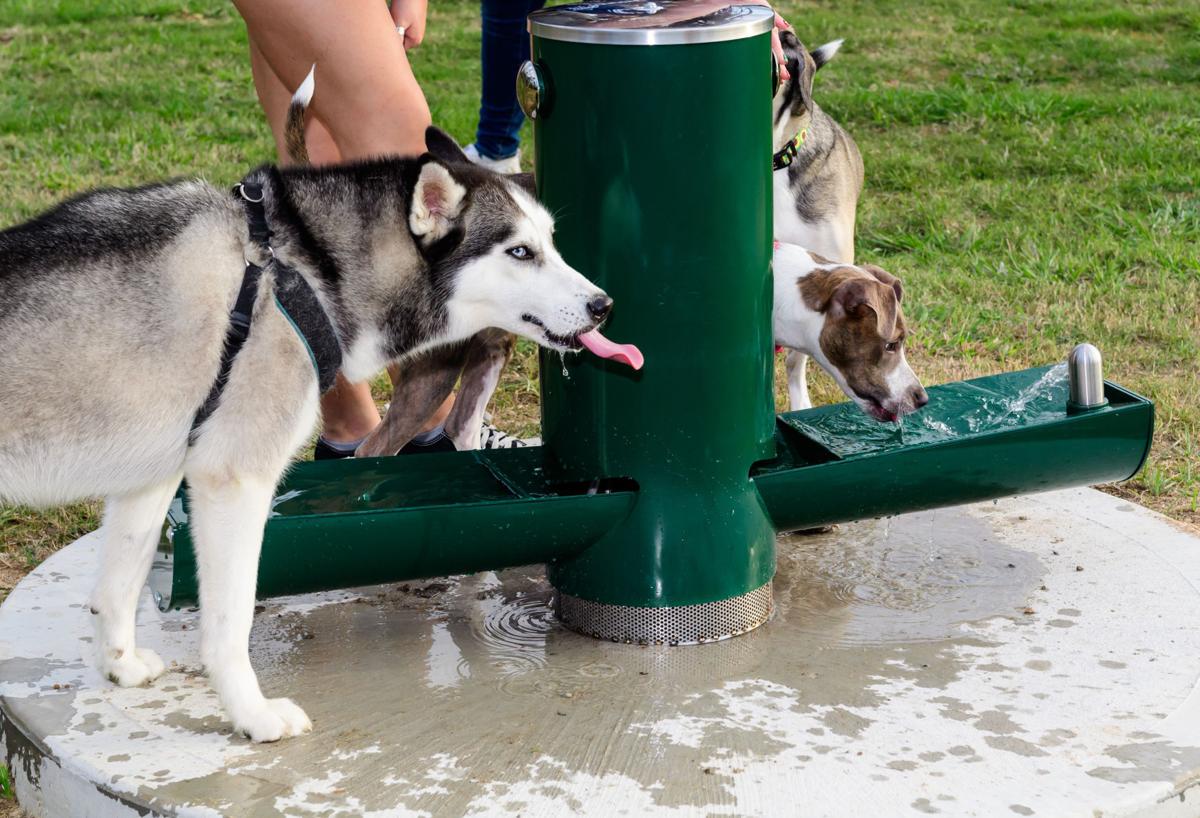 Countryside Dog Park League City Countryside Dog Park League City