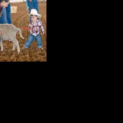 Pee Wee Rodeo brings out the best in its pint-sized participants ...