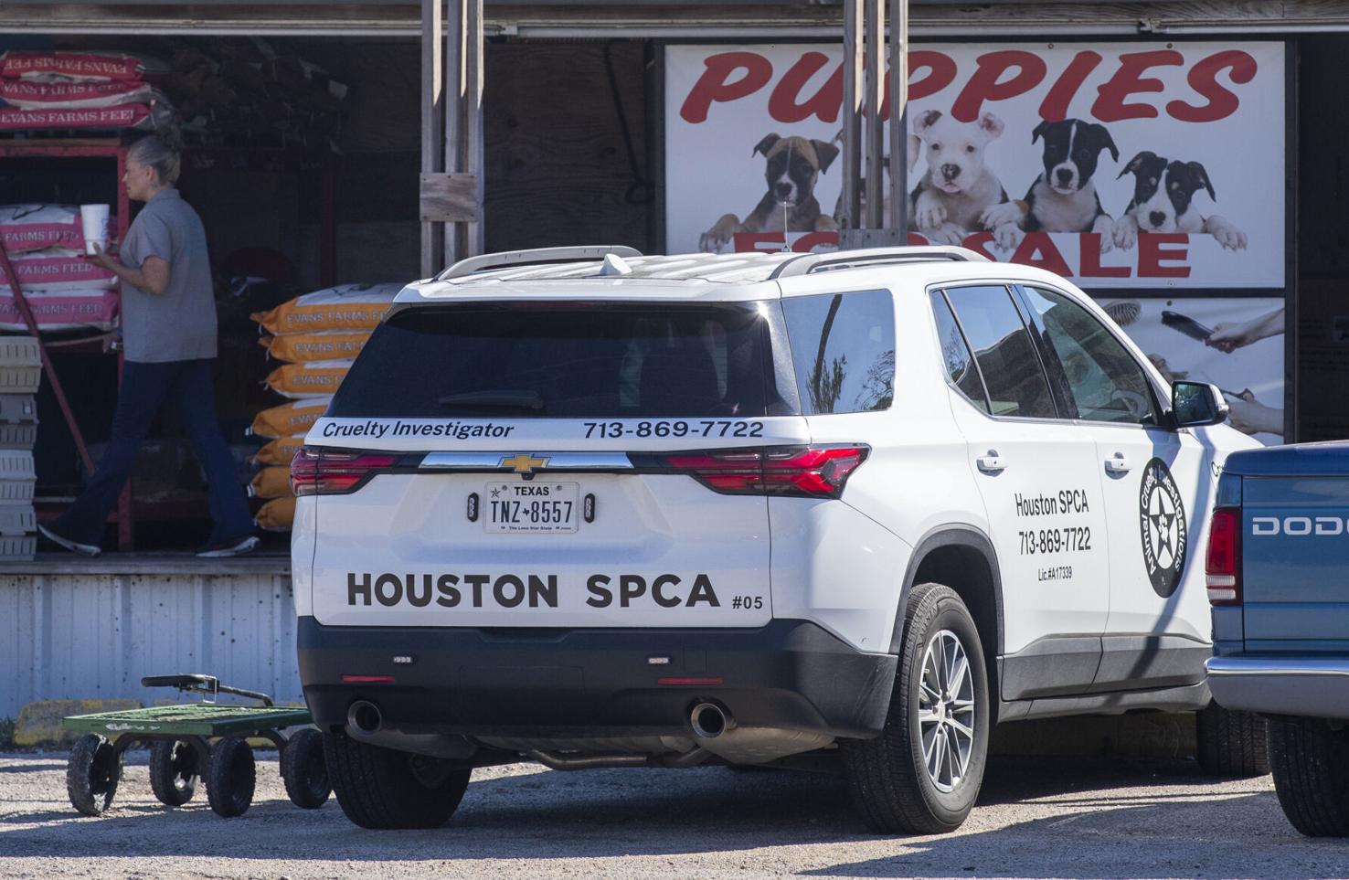 Investigators remove 800plus animals from Santa Fe feed store Local