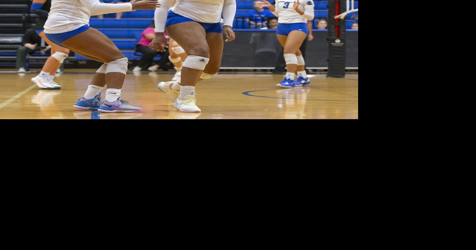 County teams dominate 24-6A all-district volleyball awards | High ...