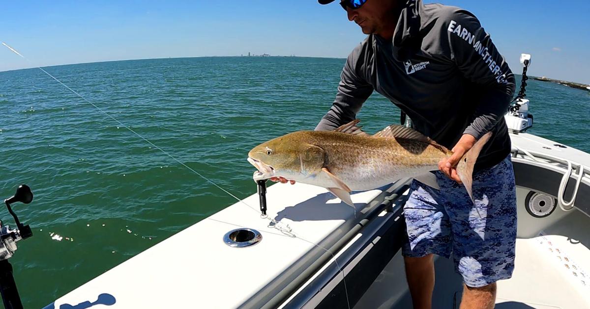 Researchers warn about releasing fish with signs of trauma | Local News ...