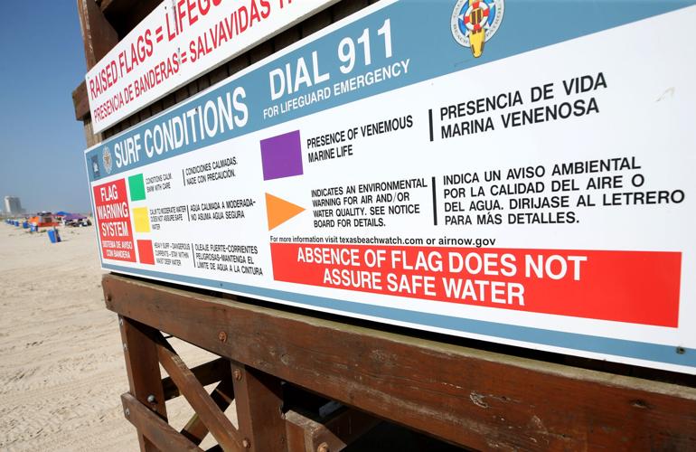 Jellyfish stings are on the rise on Galveston beaches, officials say