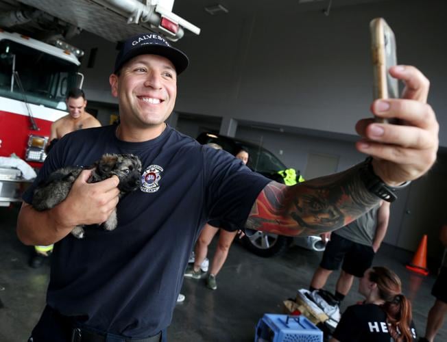Firefighters, shelter animals team up for another Heroes & Hounds calendar