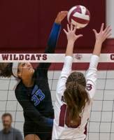District race, playoff hopefuls among stories to watch this volleyball season