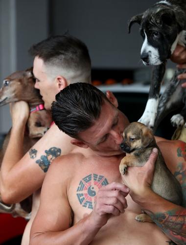 Firefighters, shelter animals team up for another Heroes & Hounds calendar
