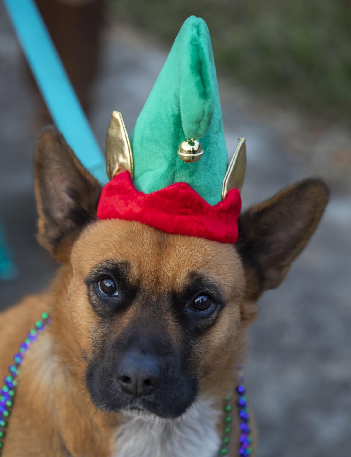 Santa Fe’s A Very 'Frosty' Christmas Parade