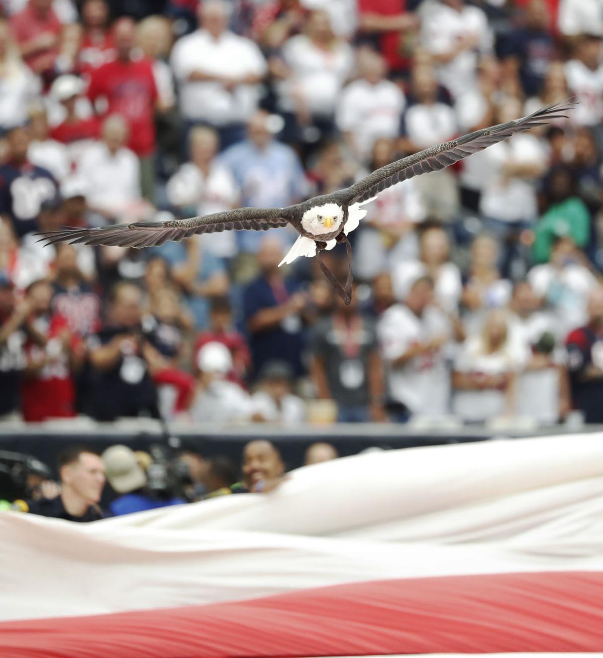 Houston Texans vs. Jacksonville Jaguars
