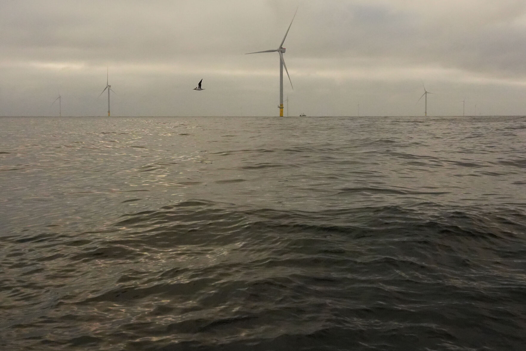 Climate Offshore Wind | Business | The Daily News