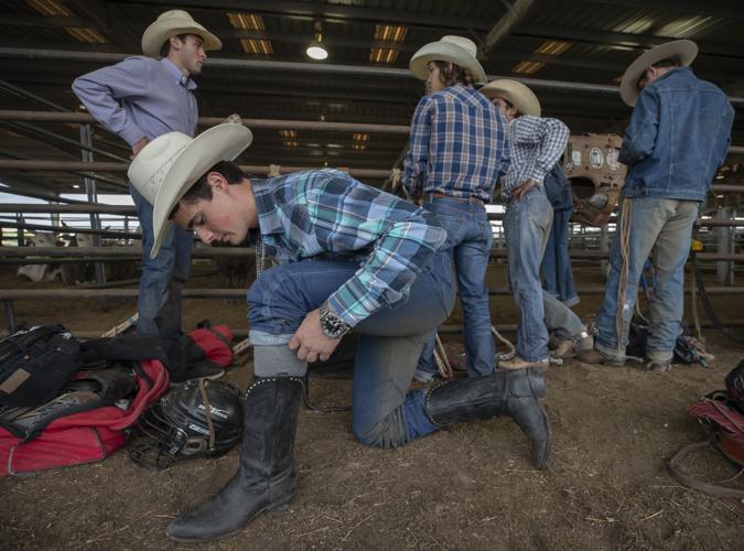 Photos Galveston County Fair and Rodeo Opens In Focus The Daily News
