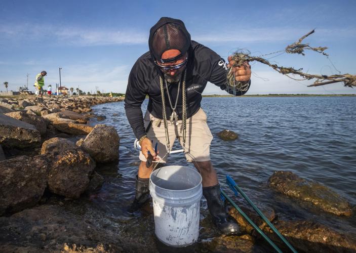 Volunteers clean up Seawolf Park to help save marine wildlife | Local