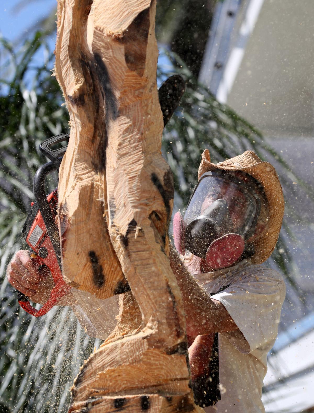 Tree Carver
