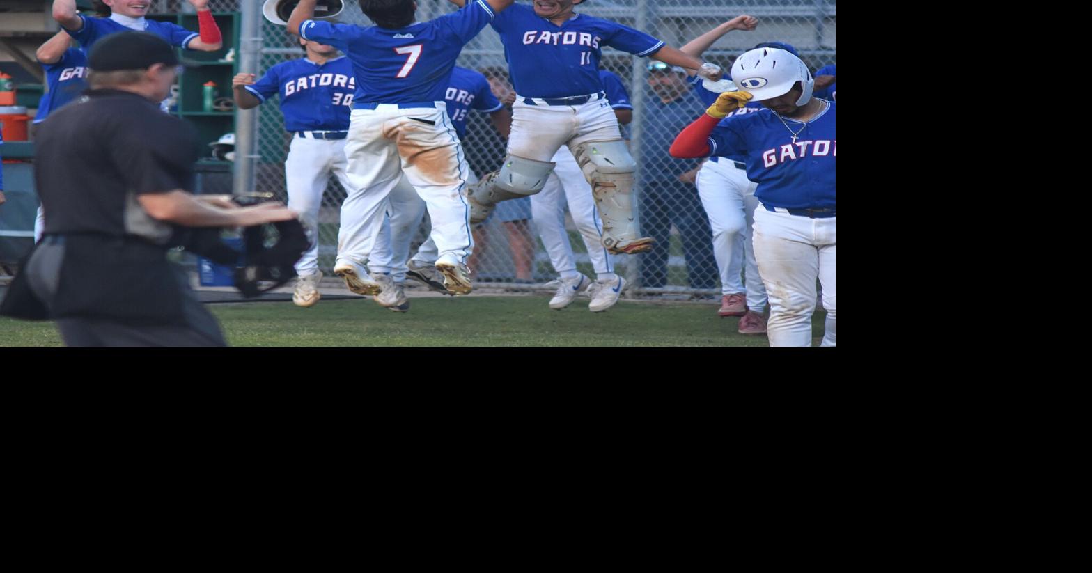 Baseball playoff preview: 6 county teams set to embark on postseason ...