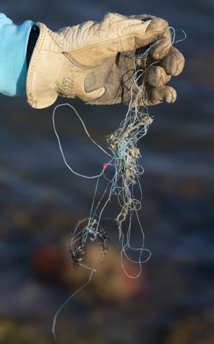 Volunteers clean up Seawolf Park to help save marine wildlife | Local