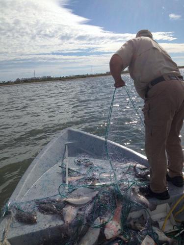 Illegal gill nets found with 107 flounder in Galveston