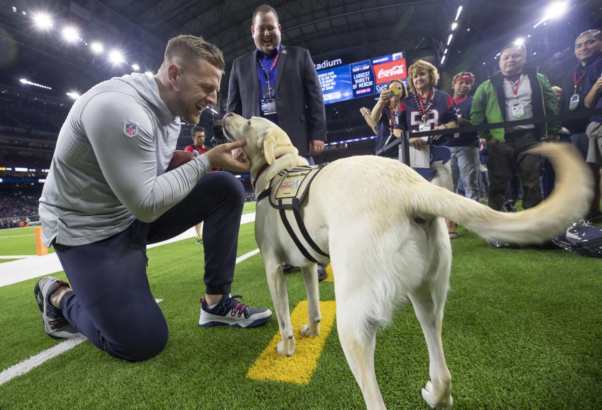 Houston Texans vs. New England Patriots