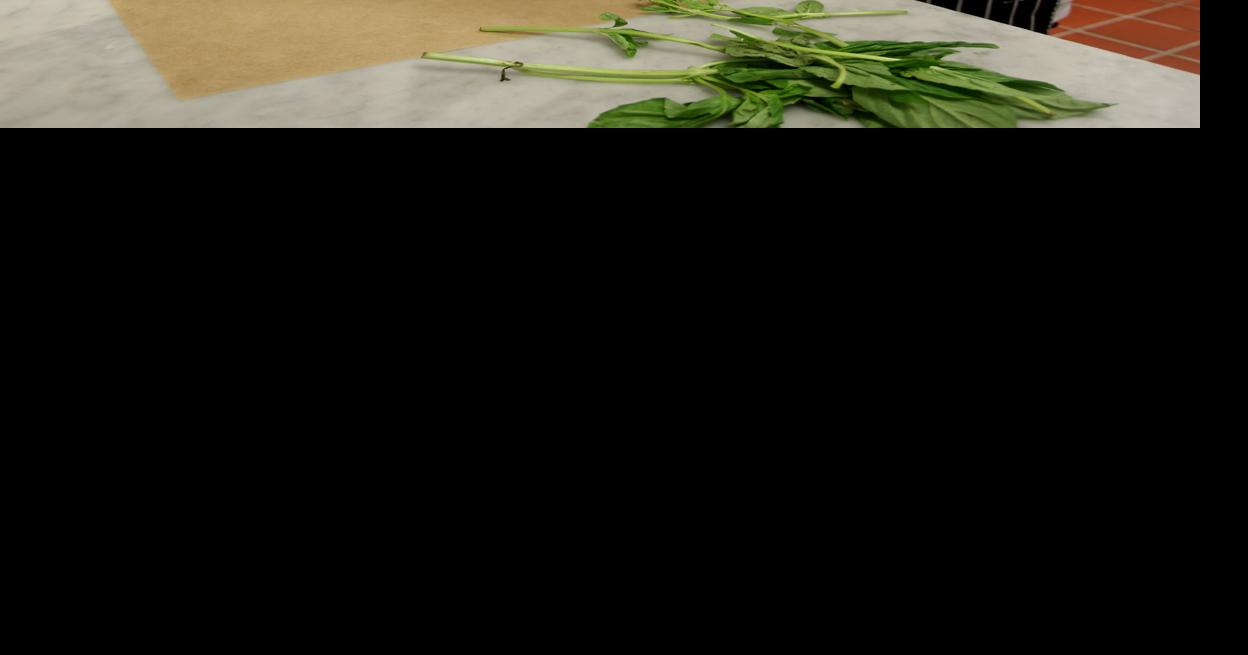 Friends of Moody Gardens annual Gulf Coast Herb Fair highlights