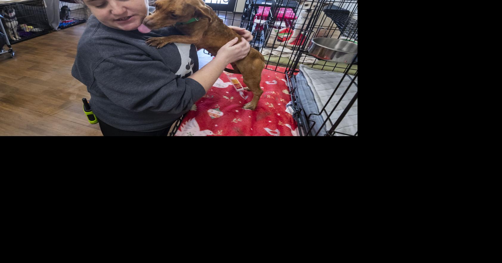 Animal shelters in Galveston County stretched as people surrender pets