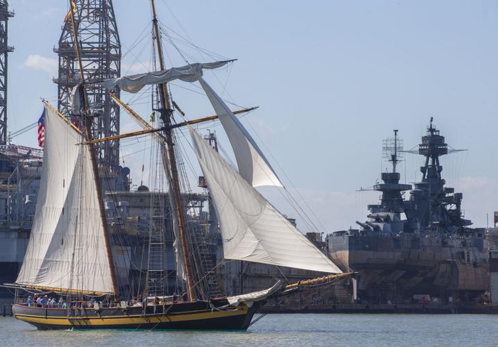 Hundreds gather on Galveston's seawall to view tall ships parade by