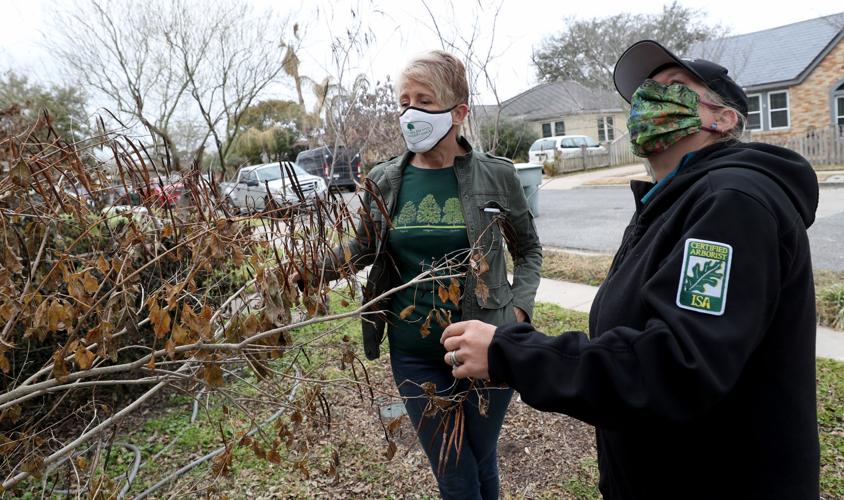 Time, water keys to helping flora recover, Galveston County experts say