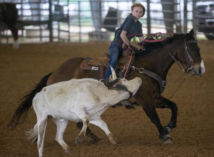 Galveston County Fair & Rodeo Local News The Daily News
