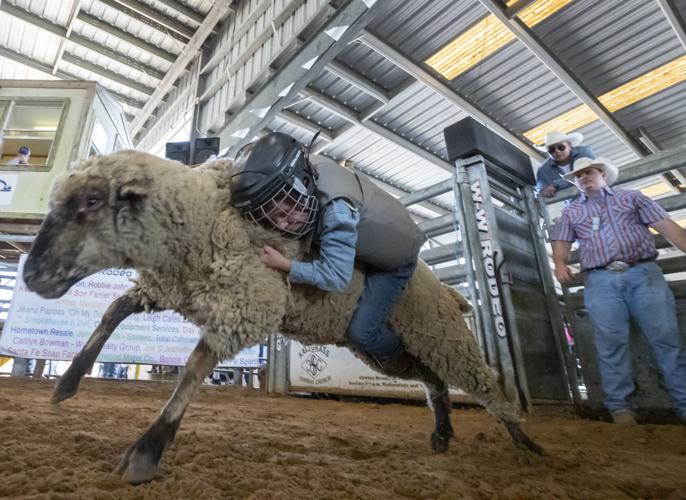 Galveston County Fair & Rodeo continues Local News The Daily News
